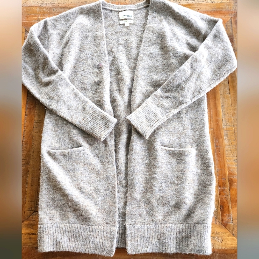 Wilfred Free cardigan
